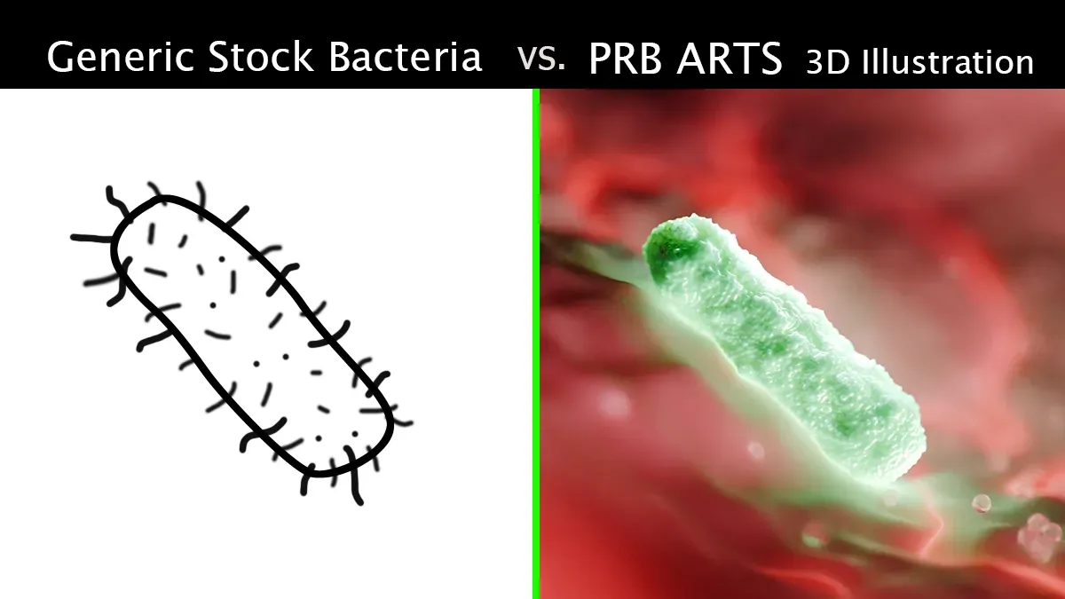 Side-by-side comparison of a stock cartoon bacteria sketch versus a realistic 3D bacillus illustration, showing why modern visuals are more effective in science education