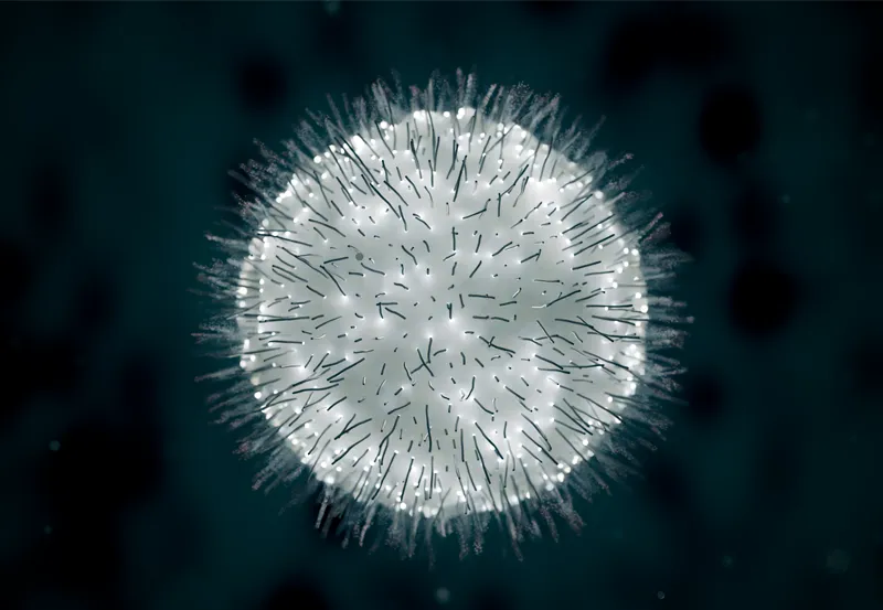 Immunology & Cells Collection