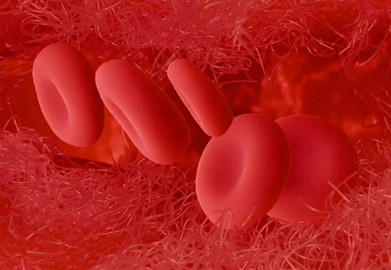 Hematology & Blood Cells Collection