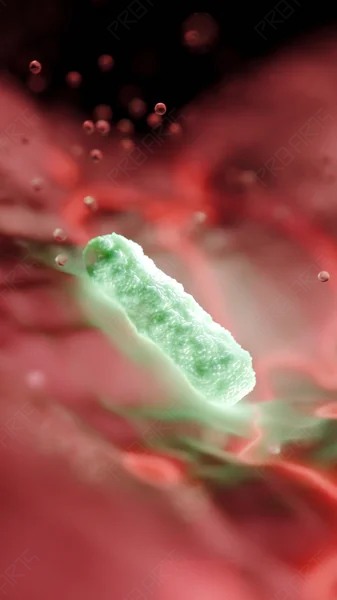 Single Bacillus Bacterium — 8K Medical Illustration