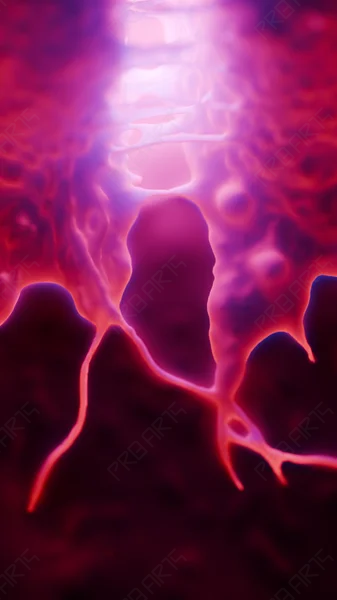 Late Stage Mitosis of Melanoma Cell — 8K Medical Illustration