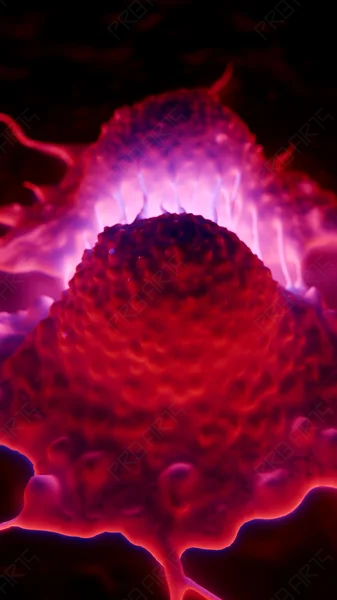 Active Mitosis of Melanoma Cancer Cell — 8K Medical Illustration