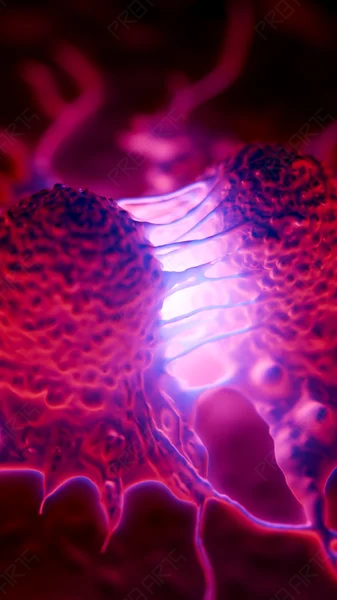 Dividing Melanoma Cell Tension Phase — 8K Medical Illustration