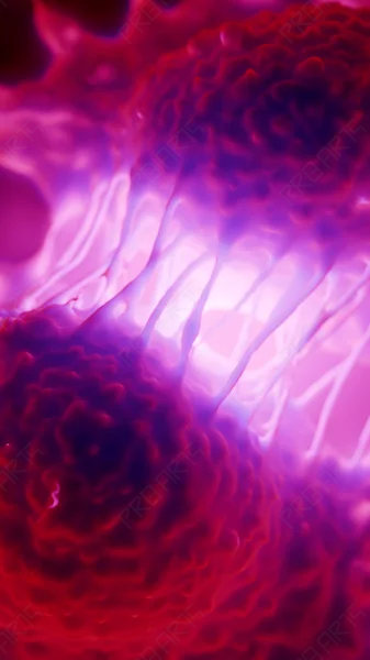 Cancer Cell Division with Spindle Detail — 8K Medical Illustration