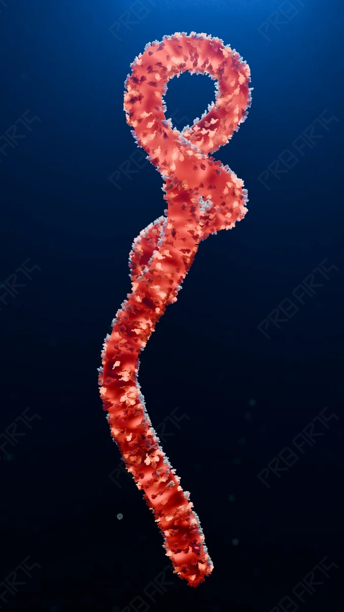 Ebola Virus Pathogen - 8K Scientifically Informed Medical Stock Image