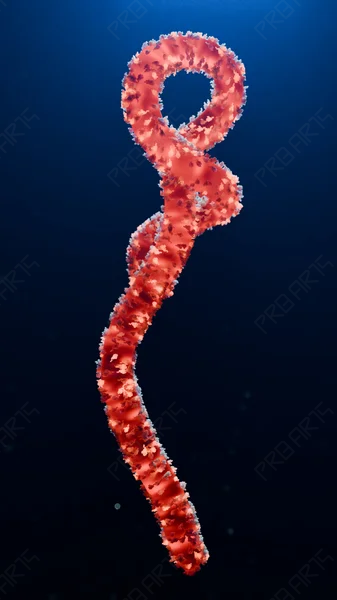 Ebola Virus Pathogen - 8K Scientifically Informed Medical Stock Image