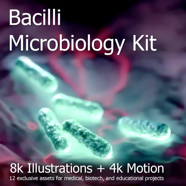 Bacilli Microbiology Kit — 8K Illustrations + 4K Motion (12 Assets)