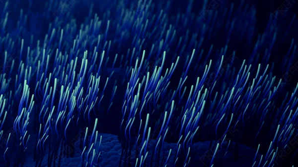 Widescreen 3D Medical Animation: Fallopian Tube Cilia Flyover