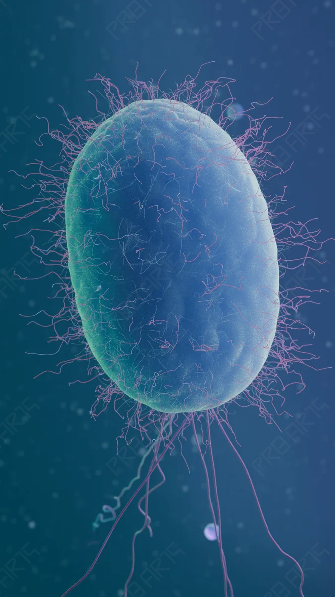 E. coli Cellular Motility - 4K Vertical Scientifically Informed - Scientifically Informed Conceptualization