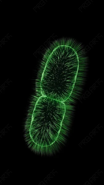 Dividing E. Coli (Turntable) — 4K Vertical Animation
