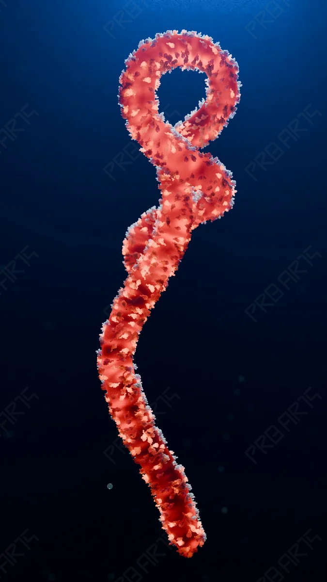 Ebola Virus Pathogen - 4K Scientifically Informed Medical Stock Footage - Scientifically Informed Conceptualization