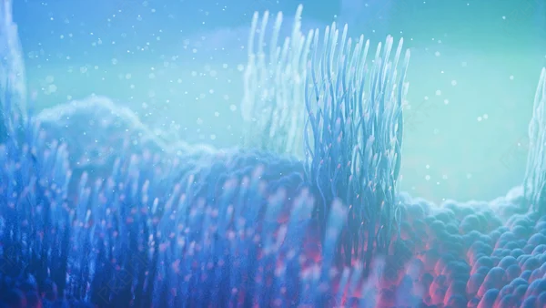 4K Medical Animation: Fallopian Tube Cilia in Fluorescent Teal (Horizontal)