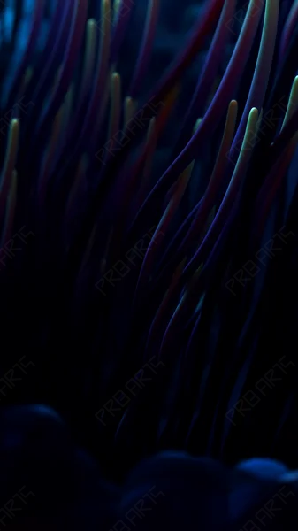 Vertical 4K Medical Animation: Fallopian Tube Cilia Close-Up