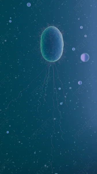 Escherichia coli (E. coli) Motility in Fluid - 4K Scientifically Informed Medical Stock Footage