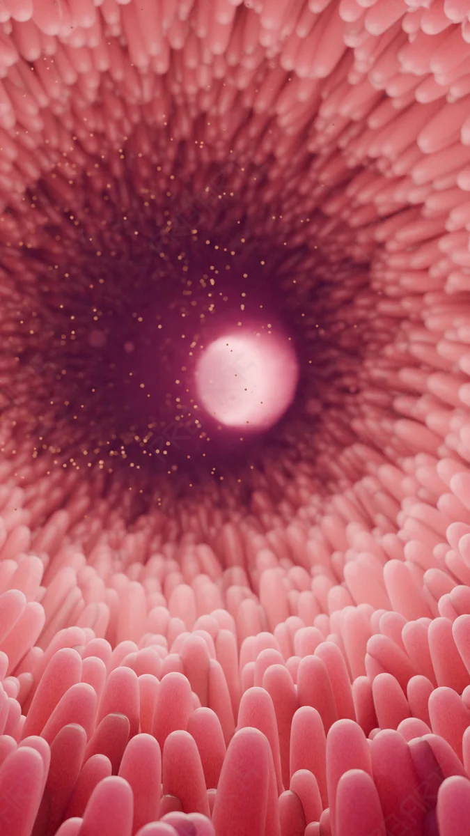 4K 3D Medical Animation: Human Intestinal Microvilli (Digestion & Absorption) - Scientifically Informed Conceptualization