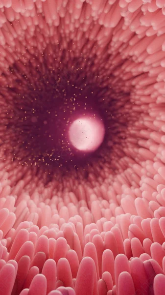 4K 3D Medical Animation: Human Intestinal Microvilli (Digestion & Absorption)