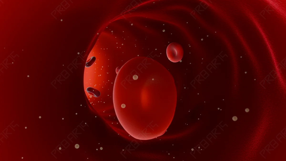 Cinematic Widescreen Blood Flow: 4K Erythrocyte & Vein Visualization - Scientifically Informed Conceptualization