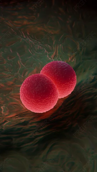MRSA Bacteria Zoom — 4K Vertical Animation