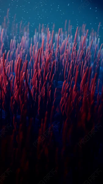 Vertical 4K Medical Animation: Microscopic Fallopian Tube Cilia Dynamics