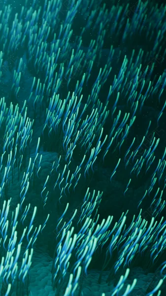 4K Vertical Medical Animation: Fallopian Tube Cilia Movement for IVF & Fertility