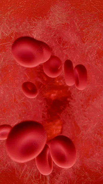 4K 3D Medical Animation: Blood Clotting & Wound Healing Process (Platelets & Fibrin)