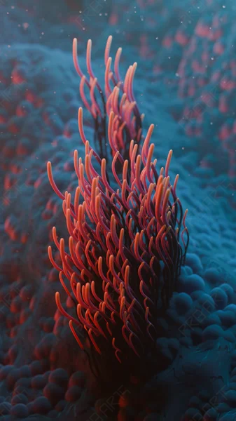 4K Fallopian Tube Cilia: 3D Medical Animation Video