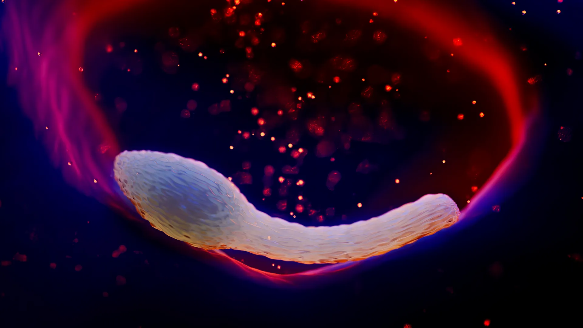 Scientific Illustrations Background